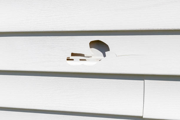 Best Wood Siding Installation  in Galesville, WI